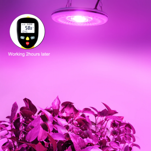 COB Led vækstlys -  100W UFO - Image 2