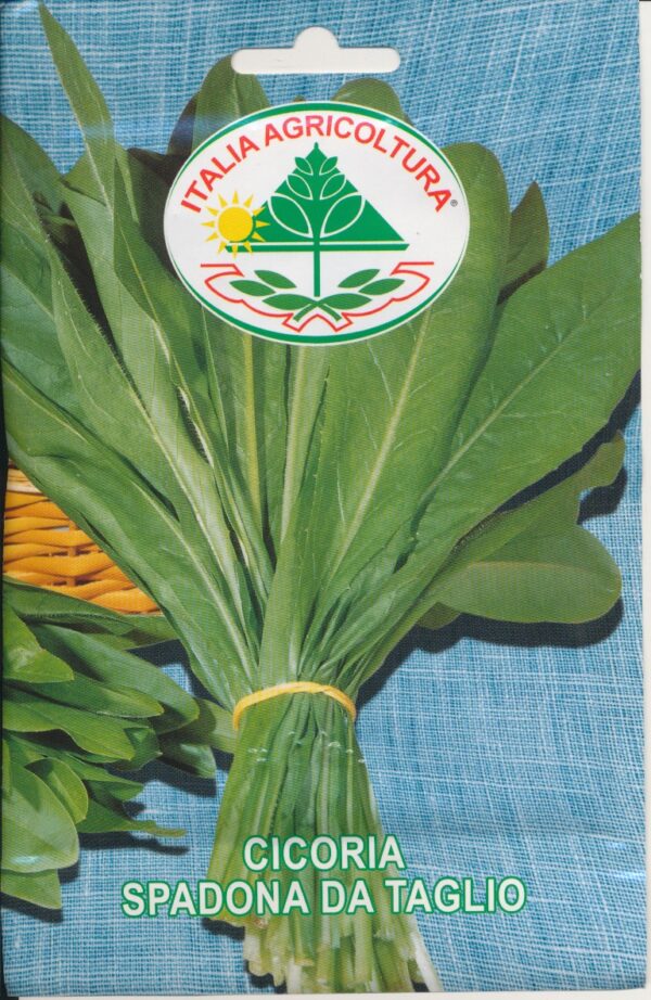 Cikorie, blad - Spadona Da Taglio