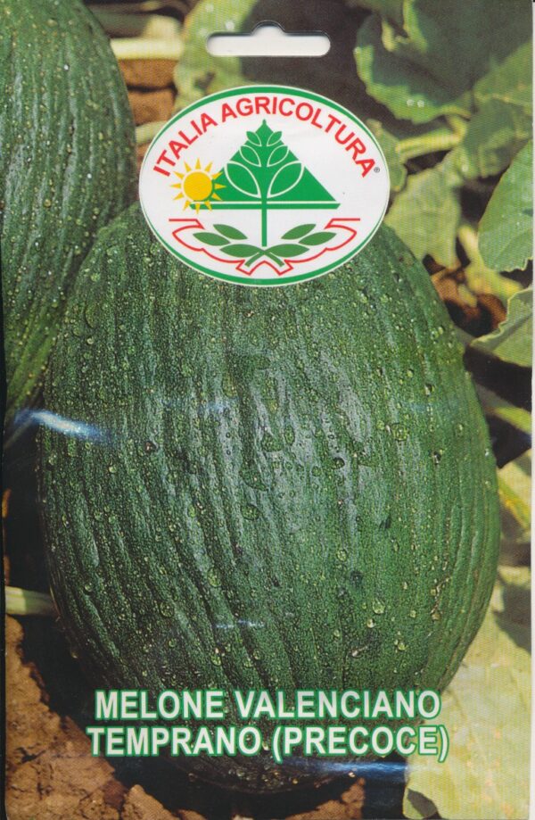 Melon - Valenciano Temprano (Precoce)