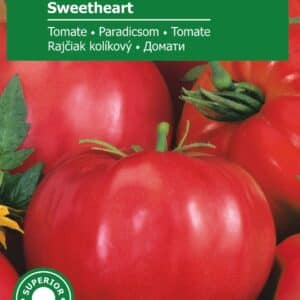 Tomat - Sweetheart - Mellem Pk.