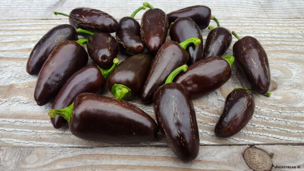 Jalapeño Azabache - C. annuum - Image 4