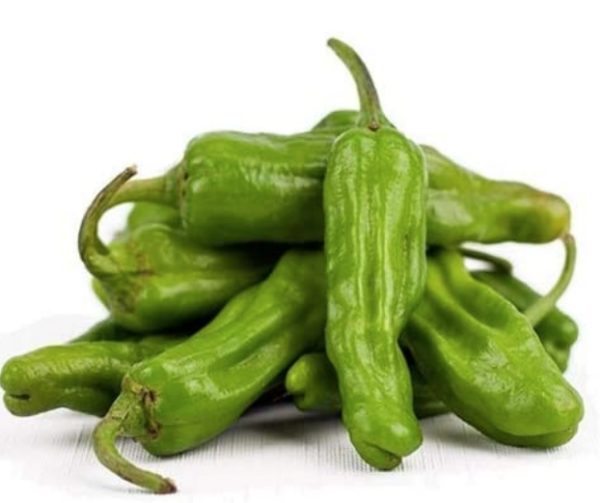Shishito - Capsicum annuum