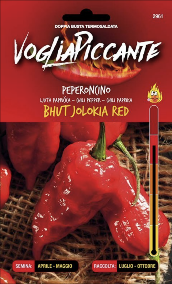 Bhut Jolokia Red - C. chinense