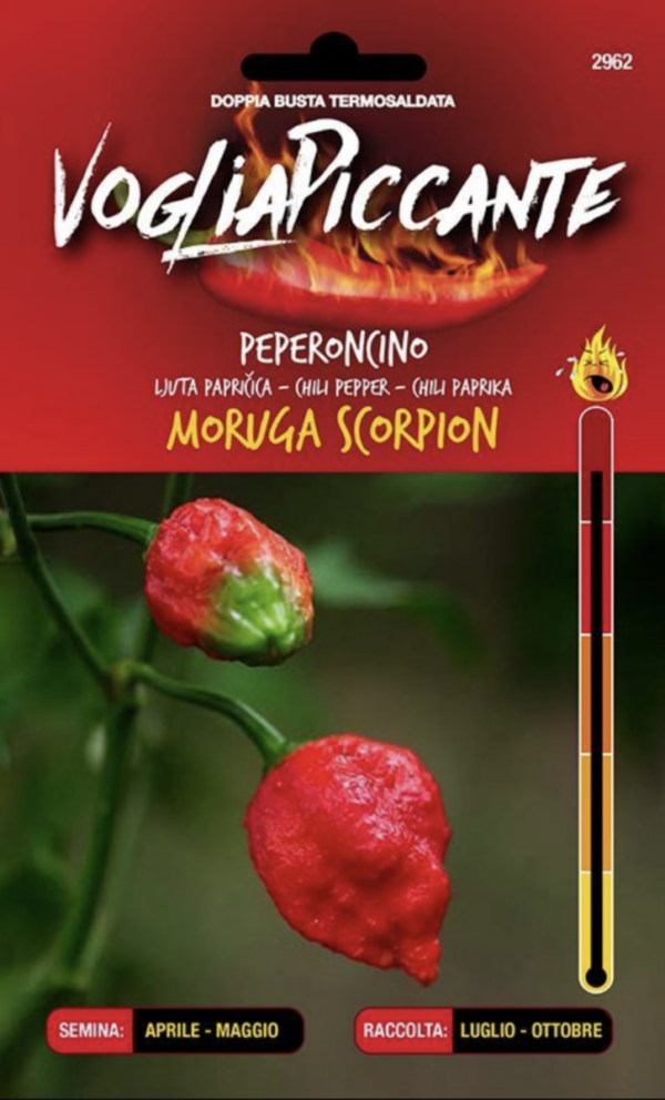 Moruga Scorpion  – C. chinense