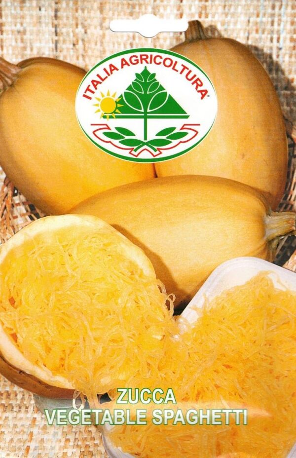 Spaghetti Squash - vegetable spaghetti
