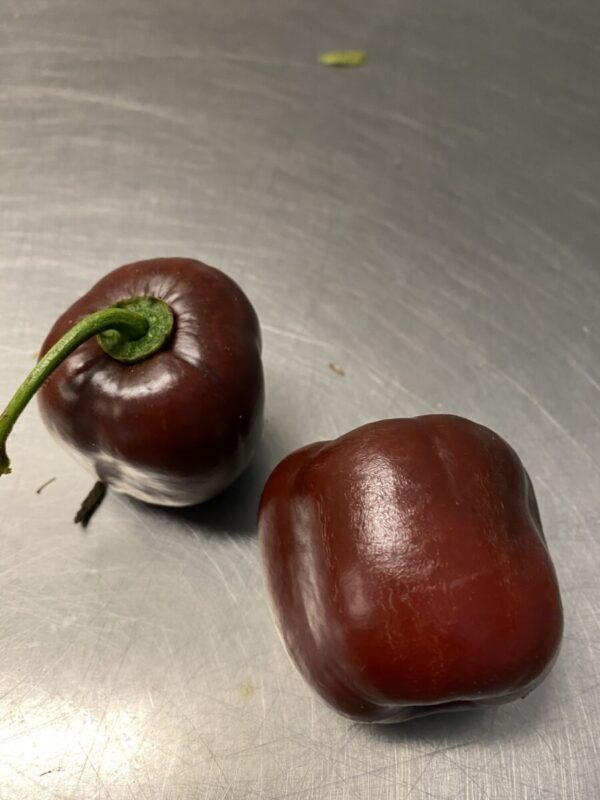 Rocoto mix - Friske chili - Image 3