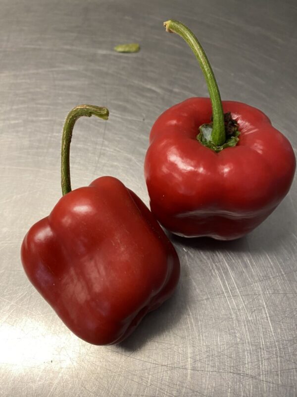 Rocoto mix - Friske chili - Image 4