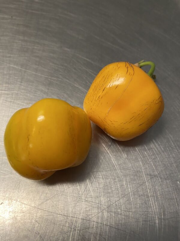 Rocoto mix - Friske chili - Image 5