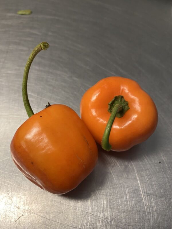 Rocoto mix - Friske chili - Image 6