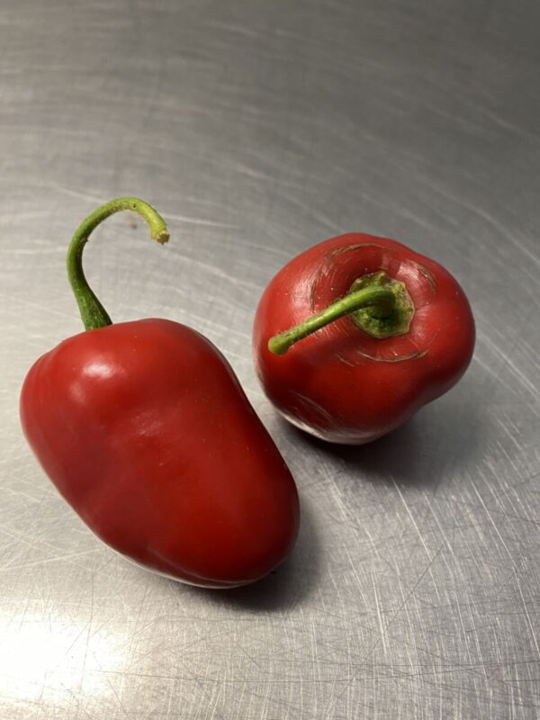 Rocoto mix - Friske chili - Image 7