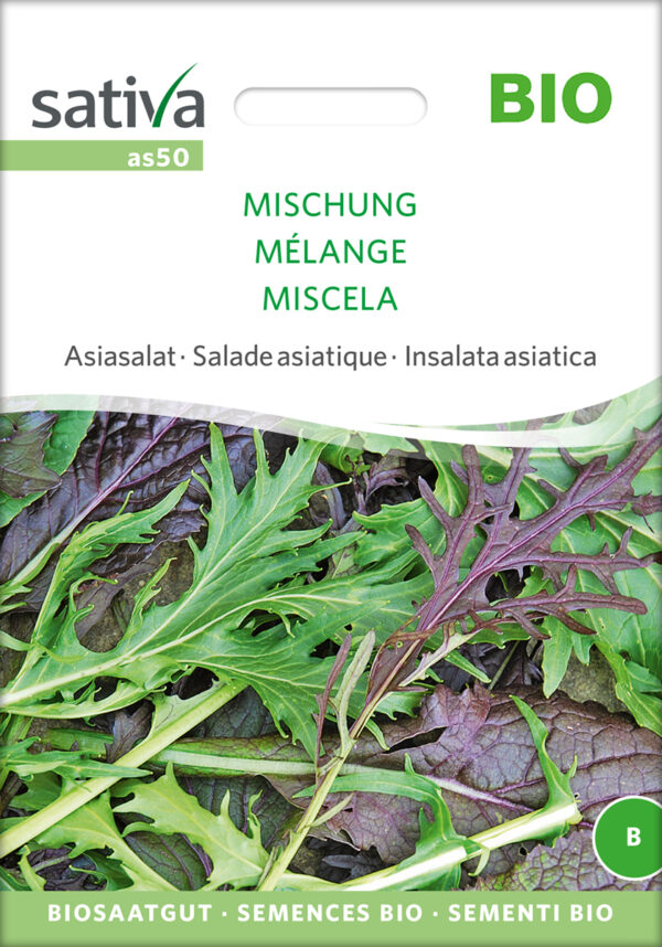 Salat MIX Asiatisk - ØKO
