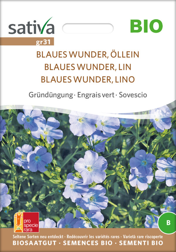 Almindelig Hør - Linum usitatissimum - ØKO