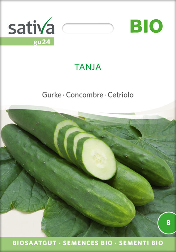 Agurk - Tanja - ØKO