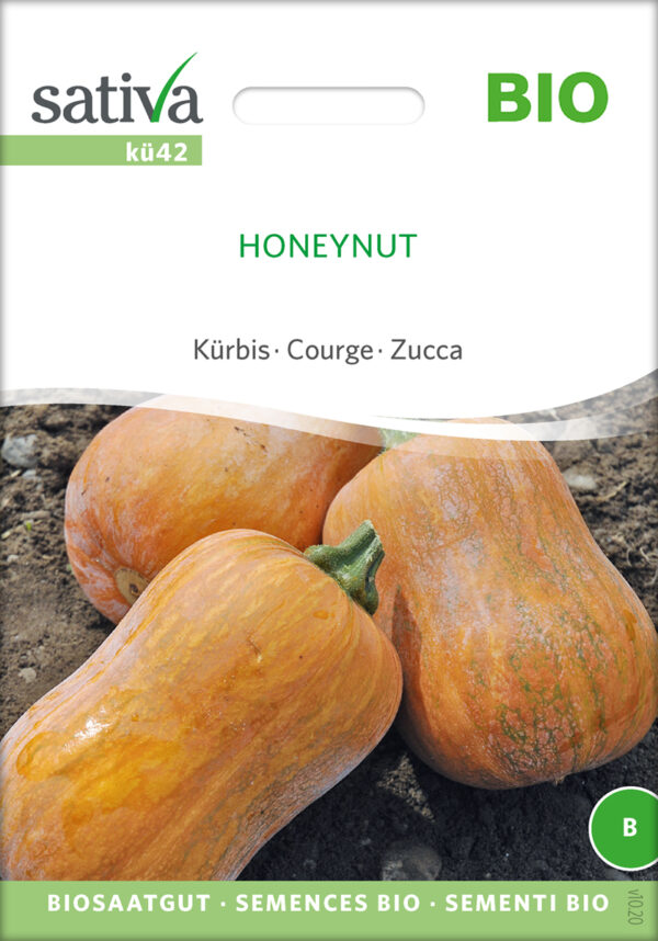 Honeynut Squash - ØKO