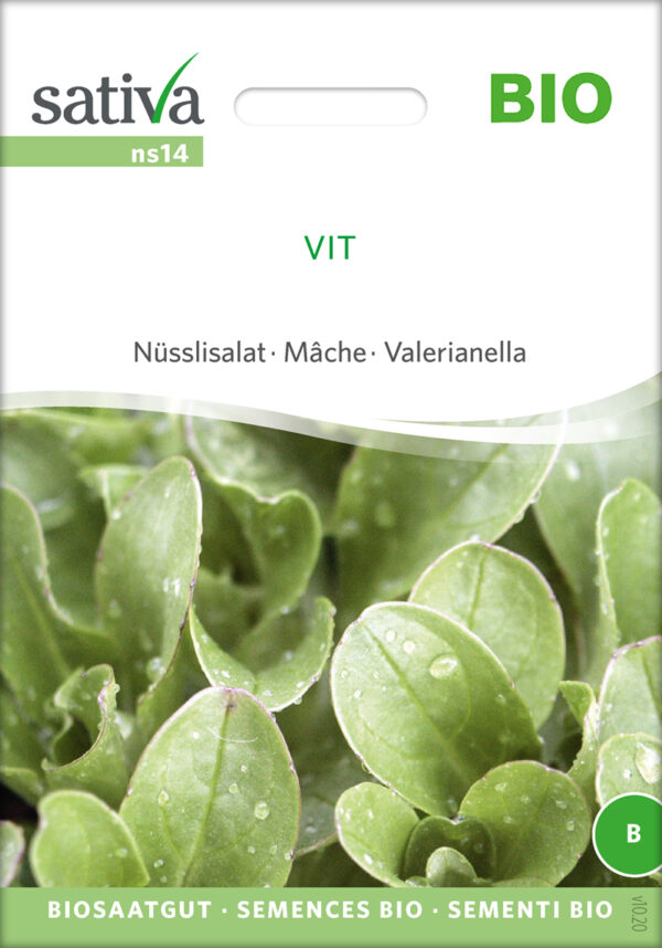 Vårsalat - Vit - ØKO