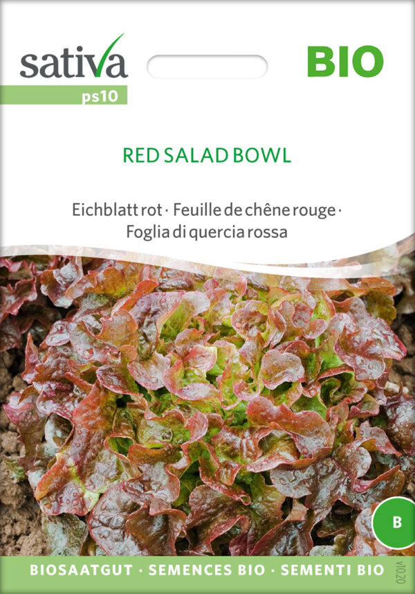 Salad Bowl rød - pluksalat - ØKO