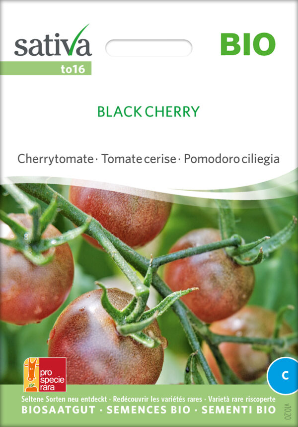 Tomat - Black Cherry - ØKO