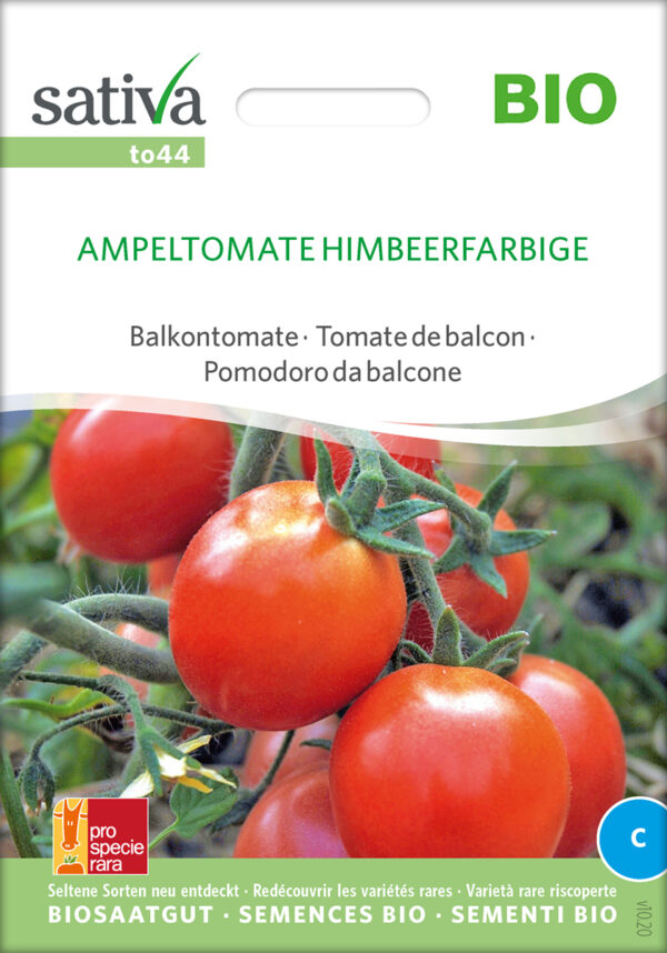Tomat - Ampel - ØKO