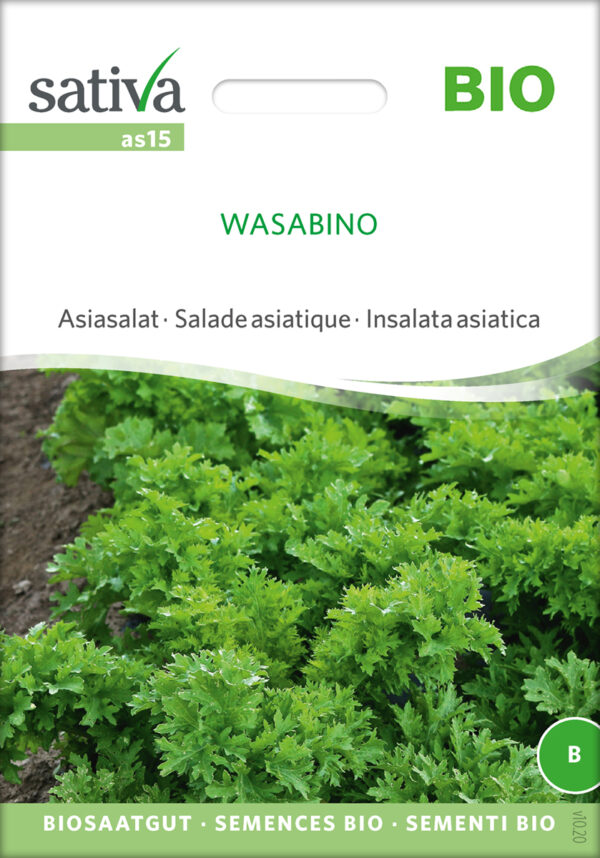Salat - asiatisk - Wasabino - ØKO