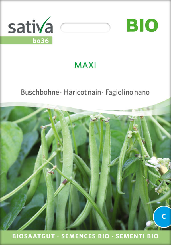 Buskbønne - Maxi - ØKO