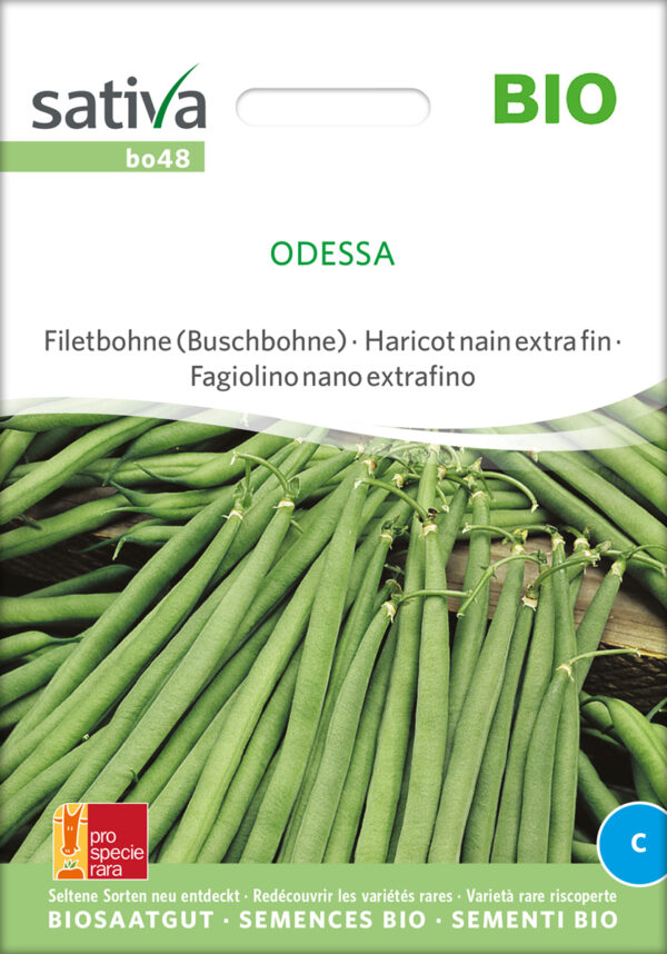 Buskbønne - Odessa - ØKO