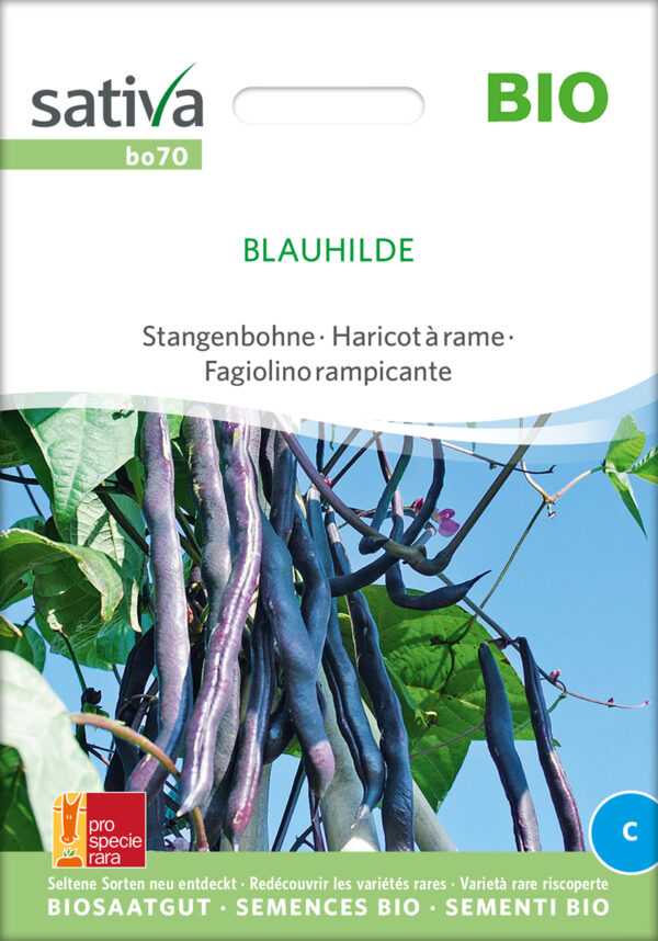 Stangbønne - Blauhilde - ØKO