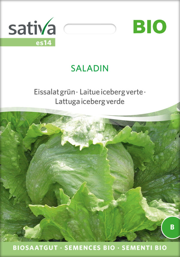 Salat - Saladin - ØKO