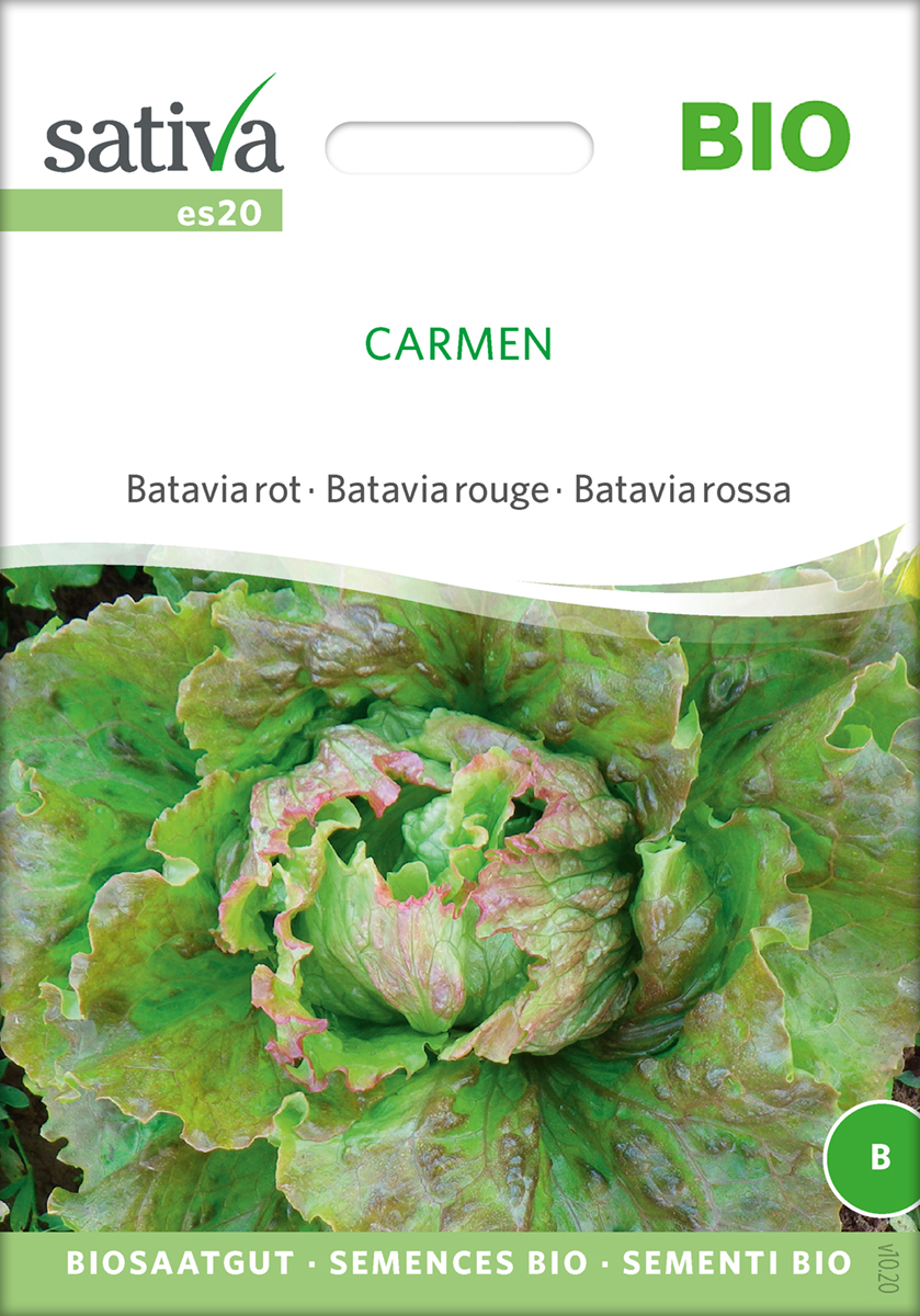 Batavia- Salat – Carmen – ØKO – Bjarne&amp;#39;s frø og planter