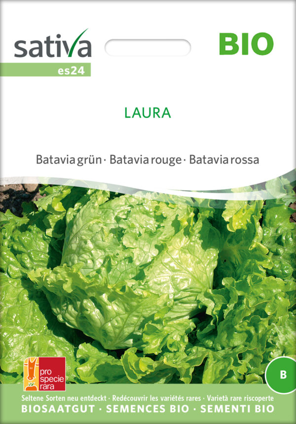 Salat - Laura - ØKO