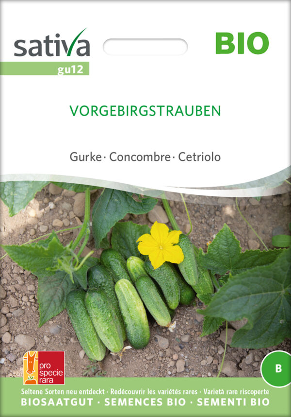 Agurk - Vorgebirgstrauben - ØKO