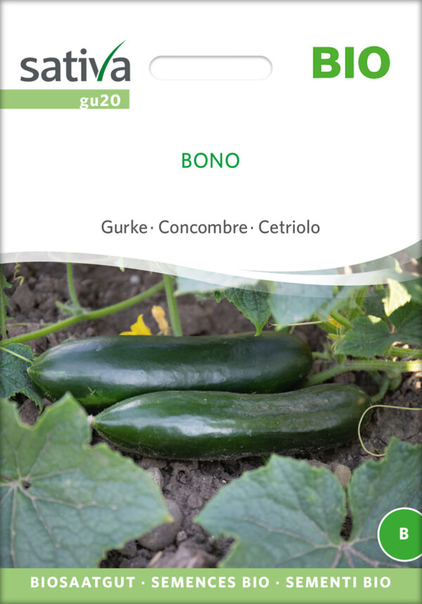 Agurk - Bono - ØKO