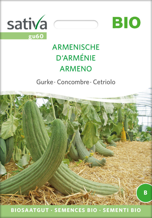 Agurk - Armenian - ØKO