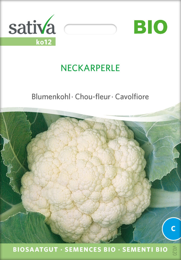 Blomkål - Neckarperle - ØKO