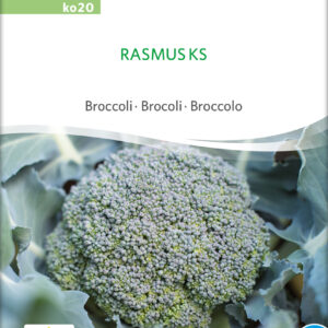 Broccoli - Rasmus Ks - ØKO