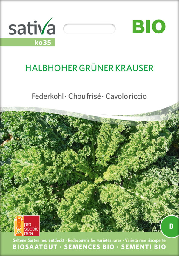 Grønkål- Halbhoher grüner krauser- ØKO