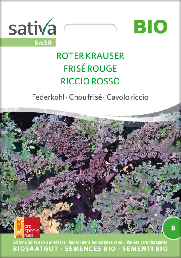 Grønkål- Roter Krauser - ØKO