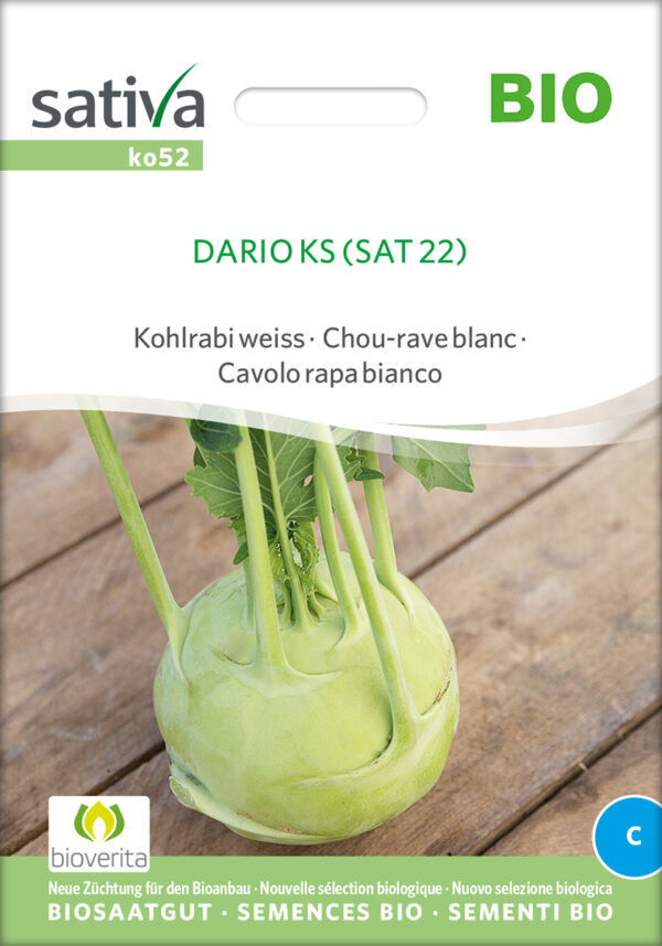 Kålrabi - Dario ks- ØKO