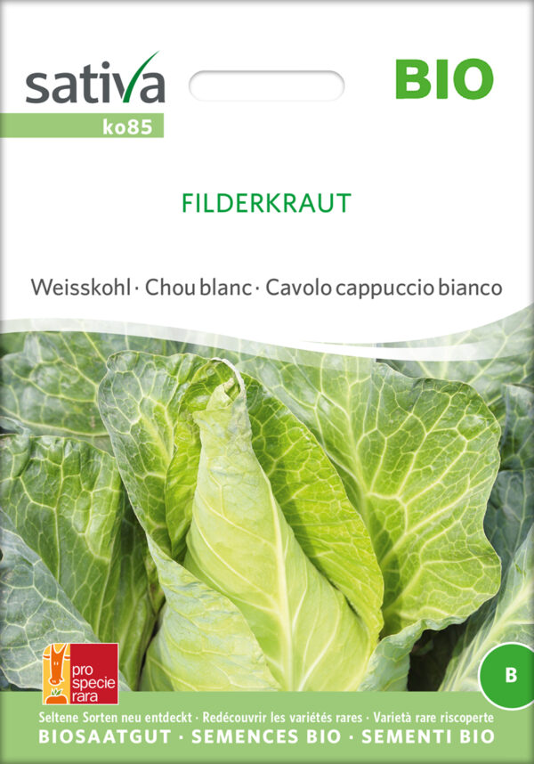 Spidskål - Filderkraut- ØKO