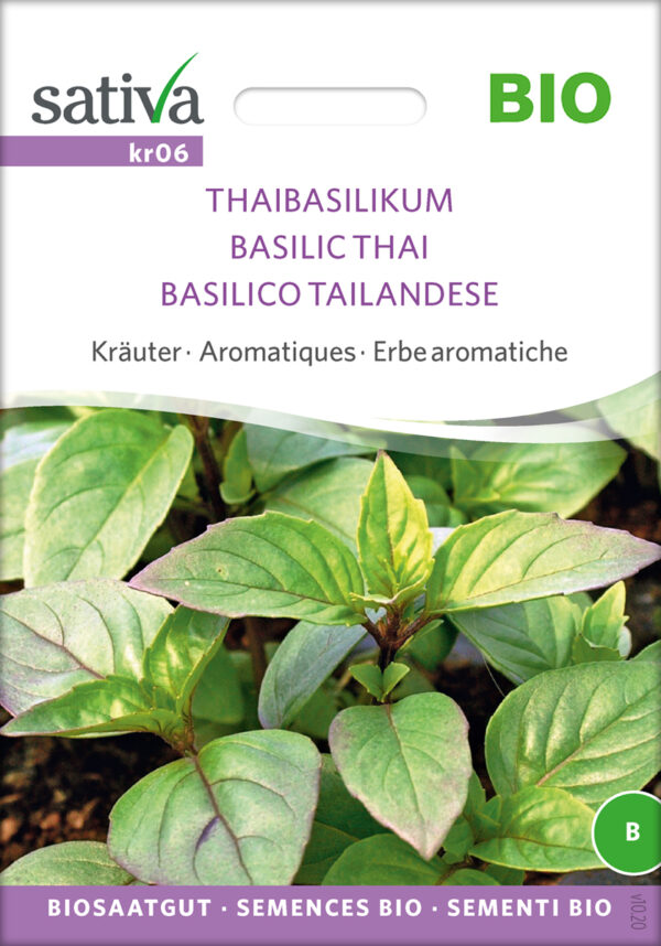 Basilikum - THAI BASIL - ØKO