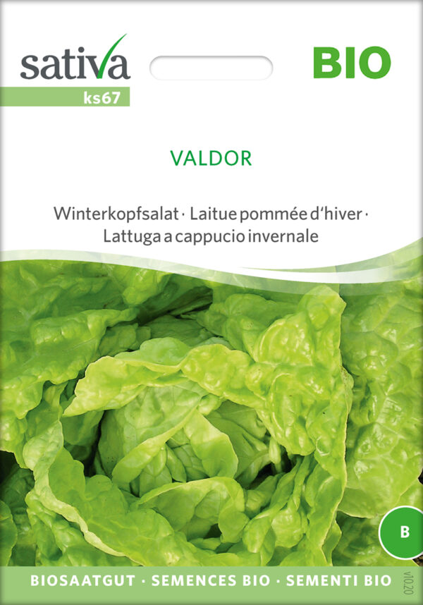 Salat - Valdor - ØKO