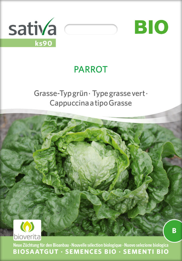 Salat - Parrot - ØKO