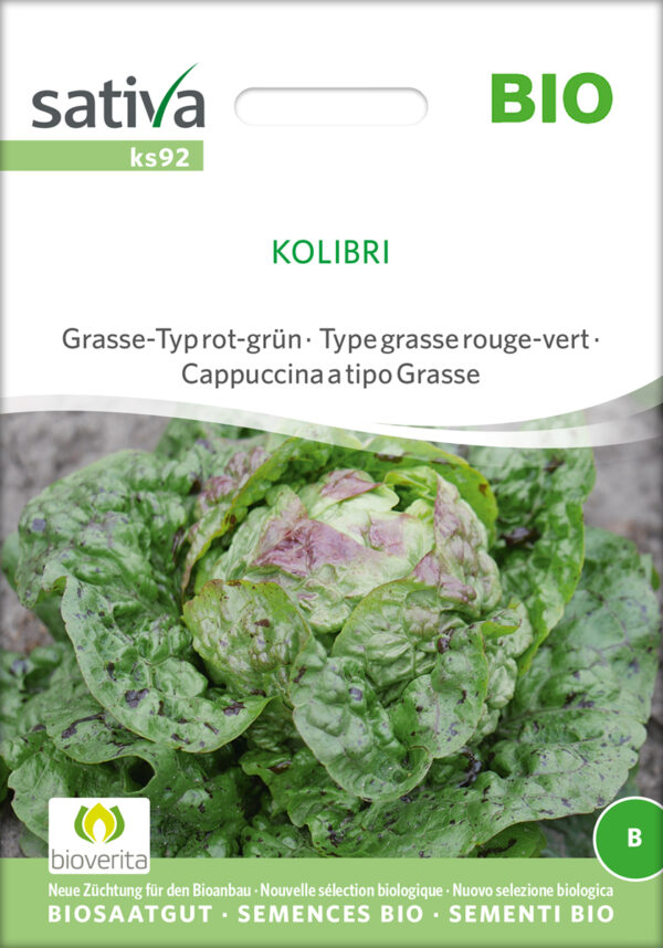 Salat - Kolibri - ØKO
