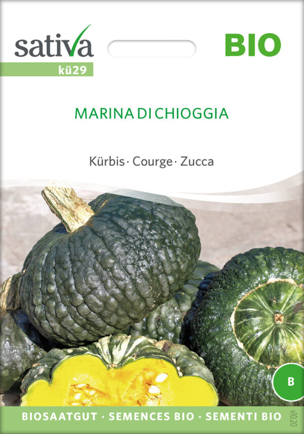 Græskar/Squash - Marina Di Chioggia- ØKO