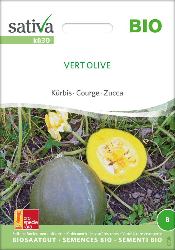Græskar/Squash - Vert olive- ØKO