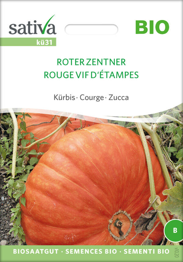 Græskar/Squash - Roter Zentner- ØKO