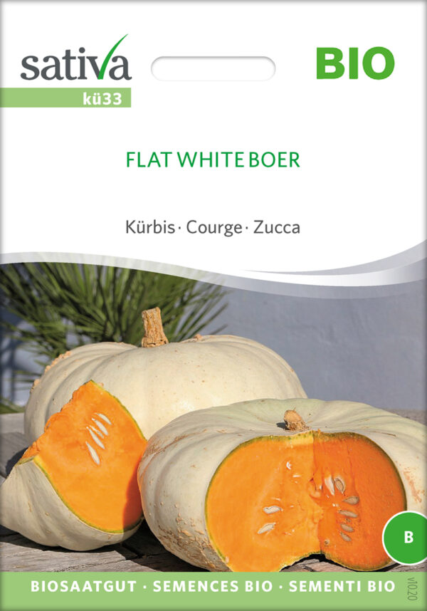 Græskar/Squash - Flat White Boer - ØKO