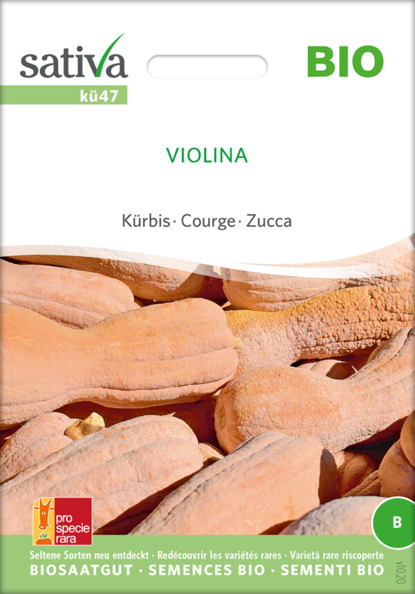 Græskar/Squash - Violina- ØKO