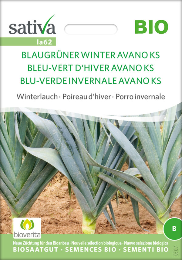 Porre - Blaugrüner Winter Avano Ks- ØKO