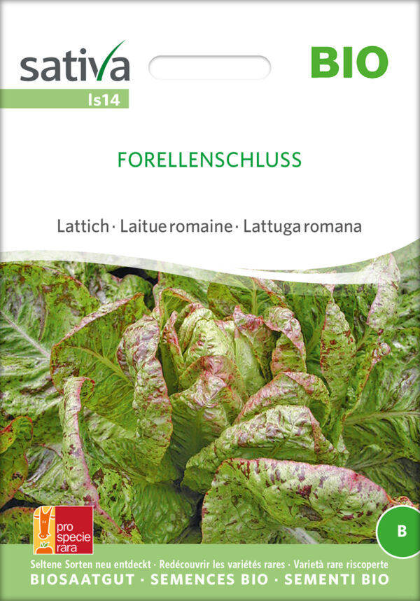 Salat - FORELLENSCHLUSS - ØKO