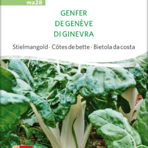 Bladbede - From Geneva - ØKO
